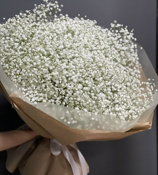Облако из гипсофилы